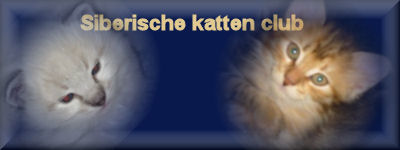 Siberische kattenclub